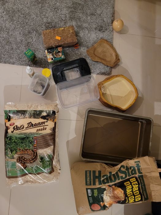 Wyprawka dla agamy brodatej