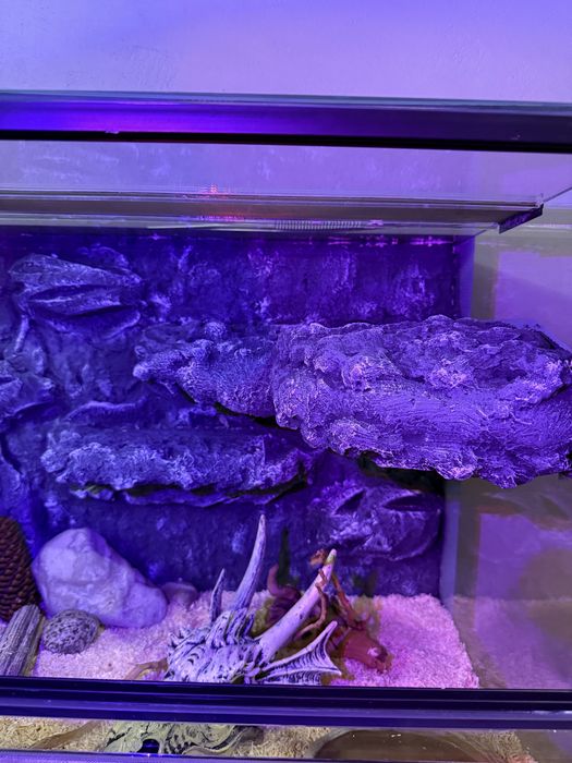 Ręcznie Tworzone Ścianki 3D do terrarium – Na Zamówienie