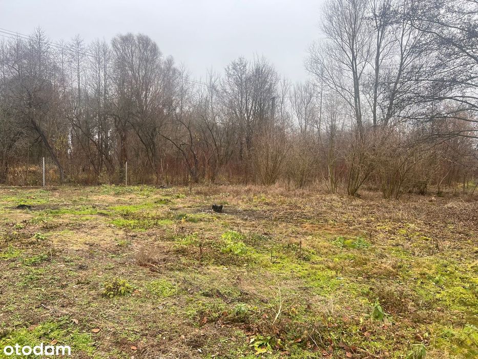 Działka budowlana nad Narwią/Zalewem Zegrzyńskim w okolicy Serocka – pohled 2
