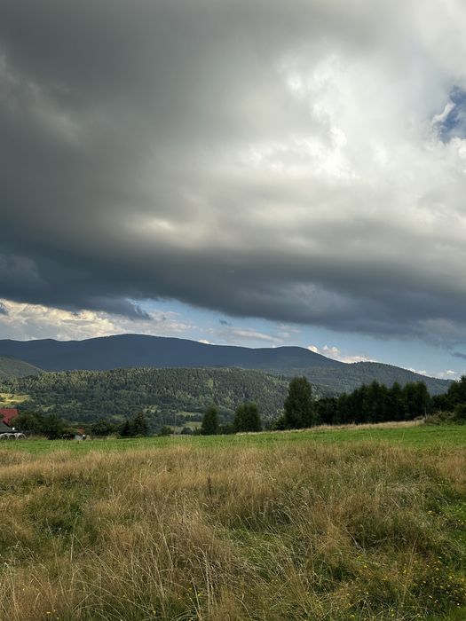 PILNIE Zawoja | 2 HA | 20 zł/m² | działki widokowy | piękne widoki - Widok 2