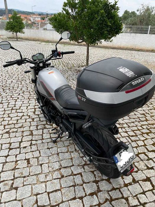 Benelli Leoncino para venda