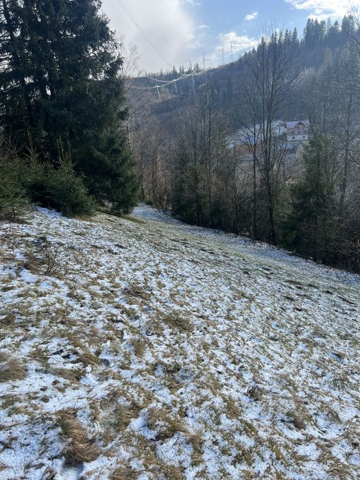 Продам земельну ділянку Славське 20 сотих