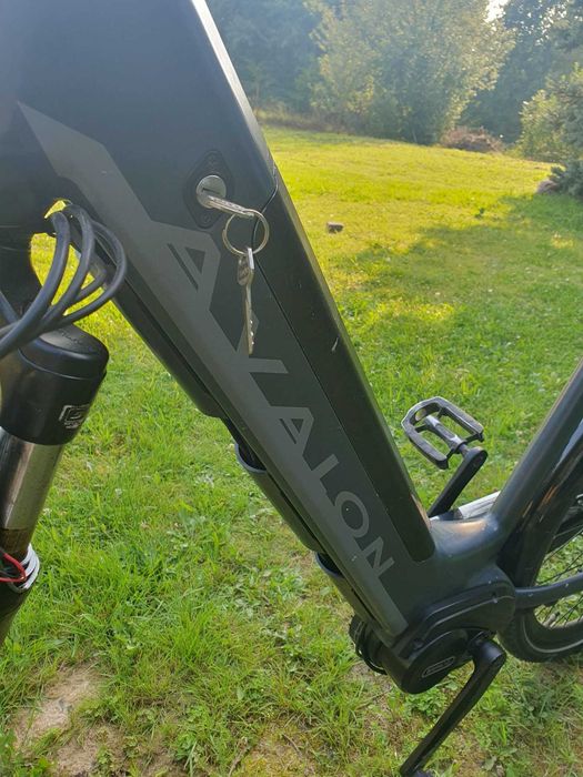 Rower elektrycznyAvalon E-Motive