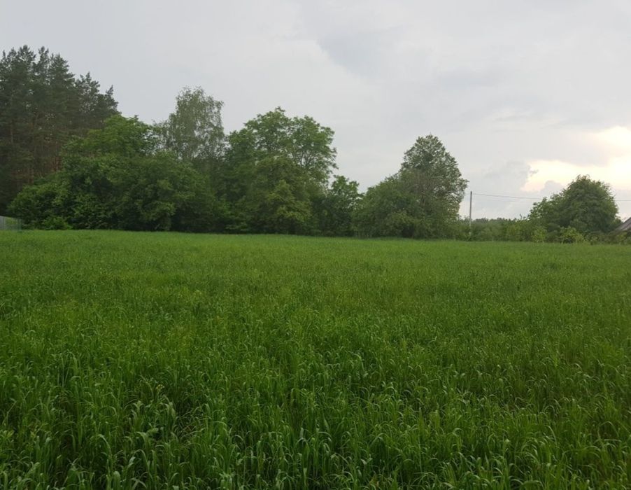 Земельна ділянка 0, 25 Га в Осиково