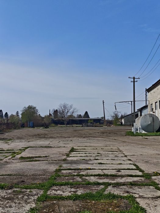 Продаж майнового комплексу та діючого експортно-орієнтованого переробного підприємства