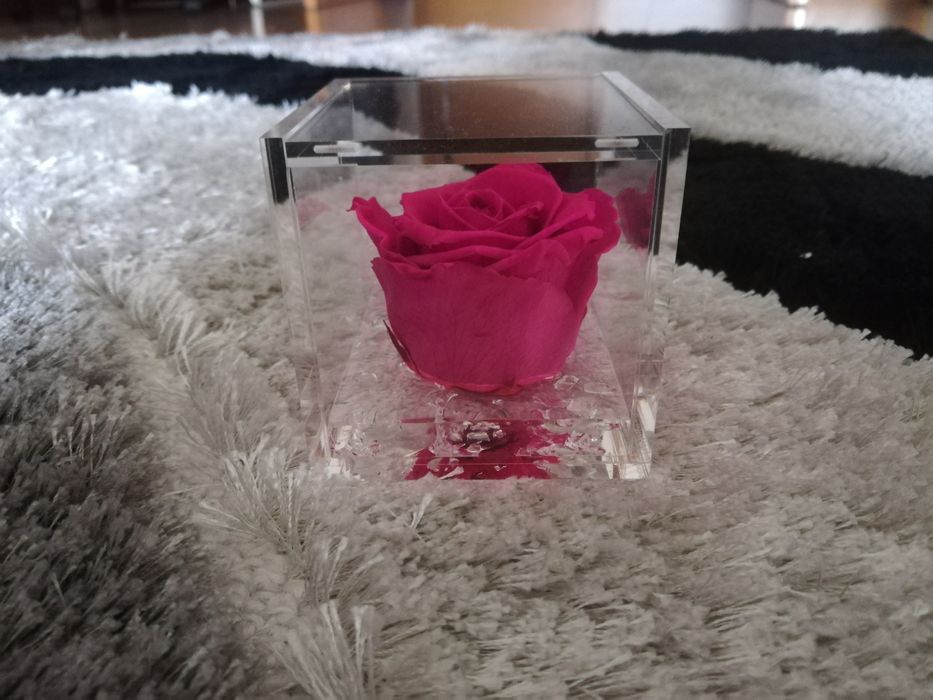 Rosa preservada perfumada