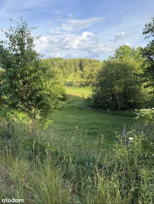 Wyjątkowe 48Ar Z Własną Rzeczką I Zagajnikiem, Enklawa.