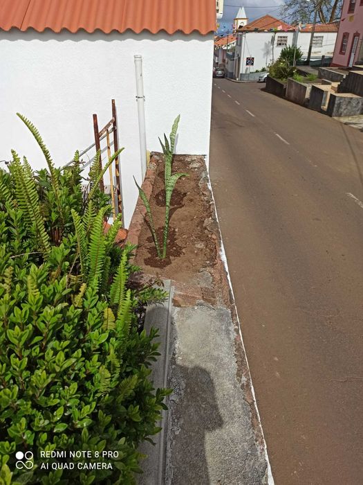 Moradia T3 c/ área de 135 m2