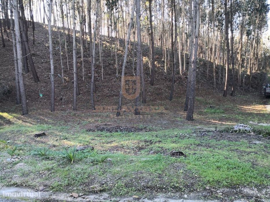 Oportunidade terreno para construir - Gondemaria — Gondemaria E Olival, Santarém