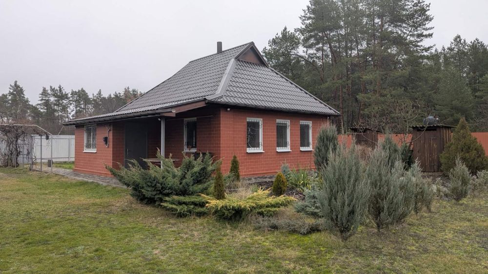 Затишний заміський будинок в сосновому лісі