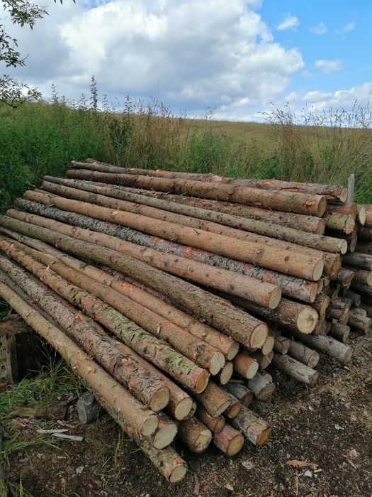 Stemple żerdzie słupki stęple cena z transportem