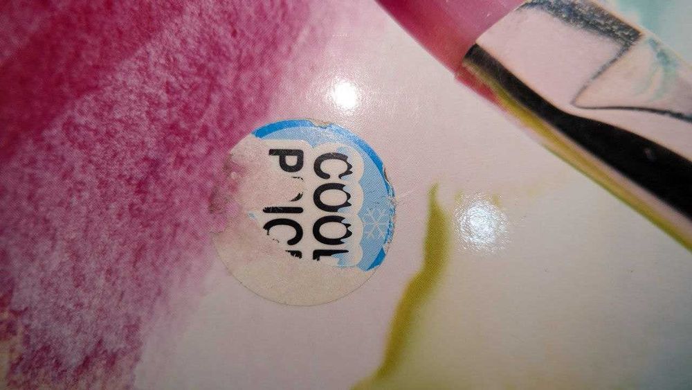 Livro sobre desenho  e pintura - Inglês