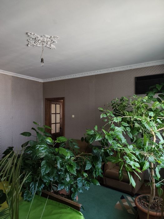 Аренда дома село Нерубайское " НАТИ"