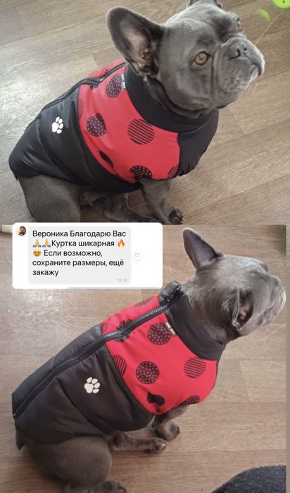 Жилетка для собак, одяг для собак