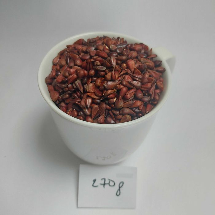 pestki pigwowca na nalewkę 270 g