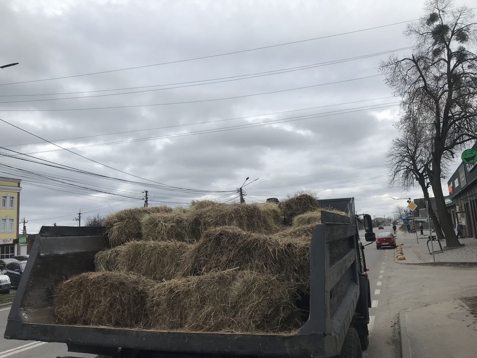 Сіно різнотравя в тюку.
