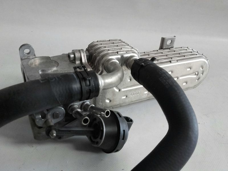 Radiador de gases / EGR VOLKSWAGEN Passat (3C2)