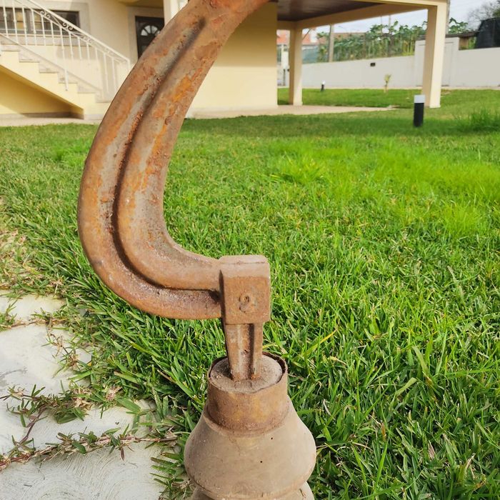 Pé de Sapateiro ou Bigorna