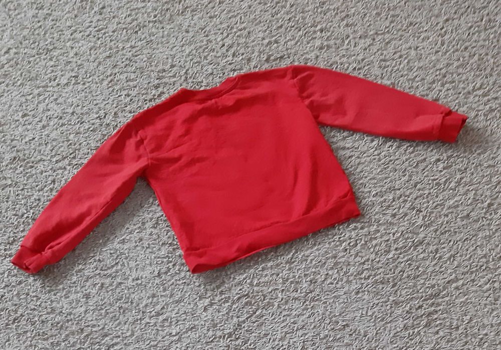 Bluza chłopięca Sinsay rozm. 128