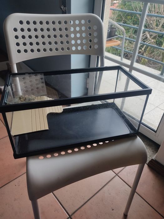 Aquário para tartaruga Terratlantis