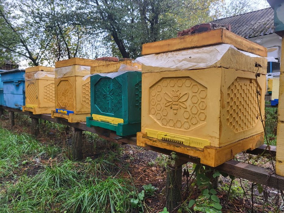 Форми ППУ 6 -рамок