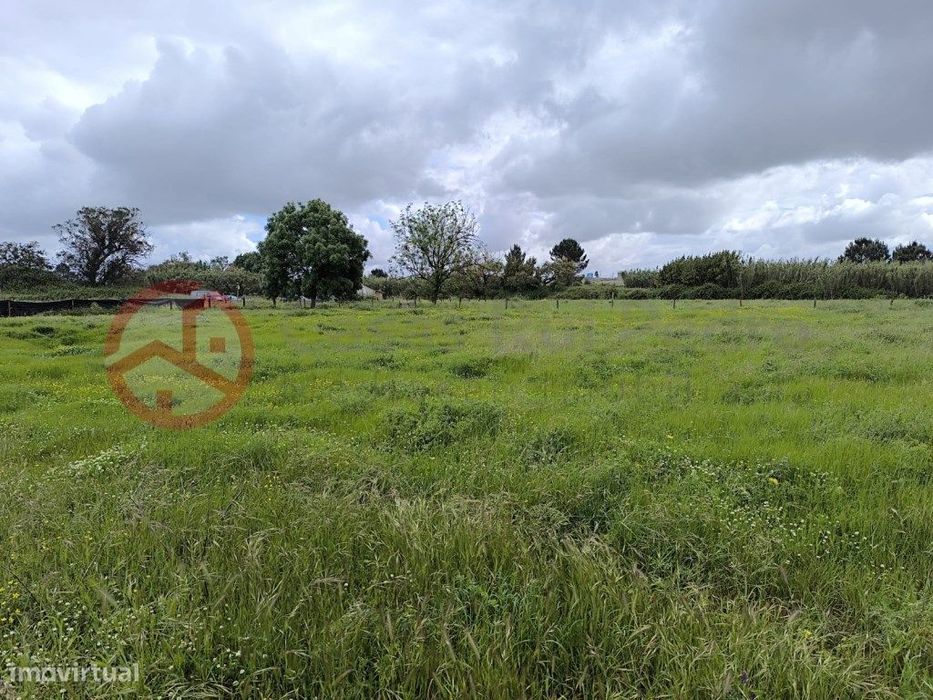 Mixed Plot in Lagoa da Palha, Pinhal Novo