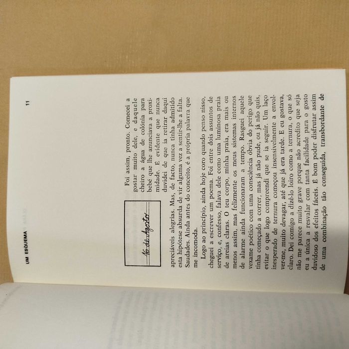 Um Esquema - Clara Pinto Correia