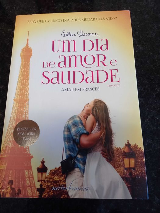 Livro" Um dia de Amor e Saudade" de Ellen Sussman