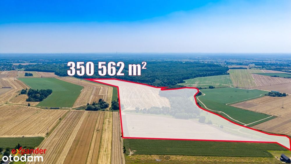 Działka rolniczo - leśna - 6 min - 5.3 km do wjazdu na A1 - Widok 4