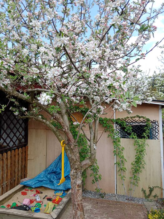 Działka ROD Potoczek Tychy