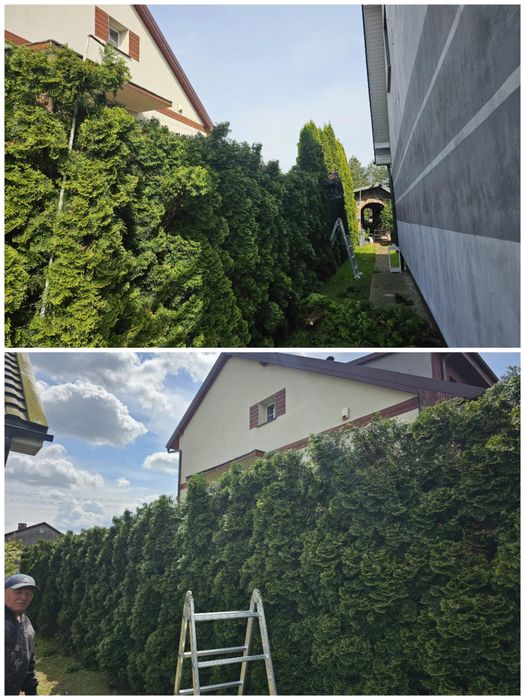 Kompleksowe usługi ogrodnicze