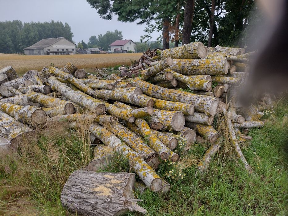 Drewno kominkowe opałowe