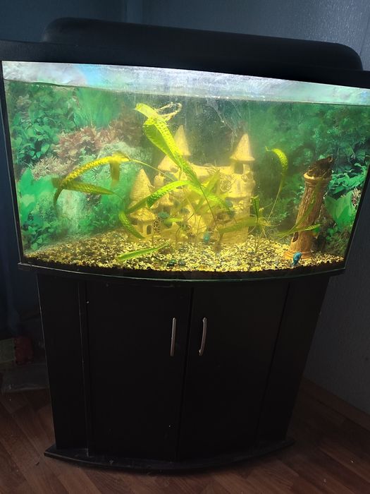 Аквариум с тумбочкой
