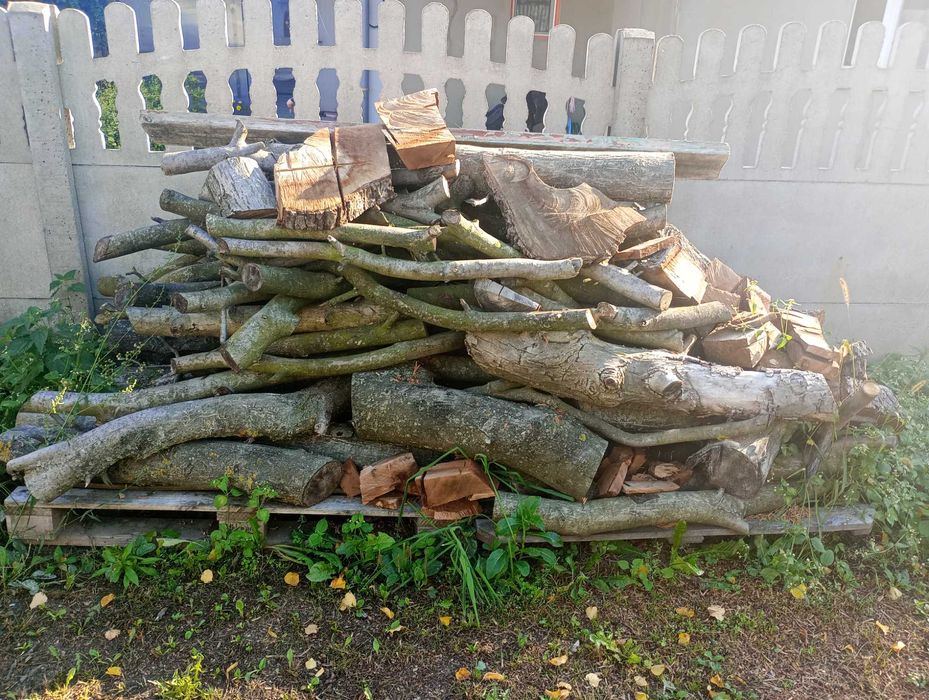 Drewno orzech wloski