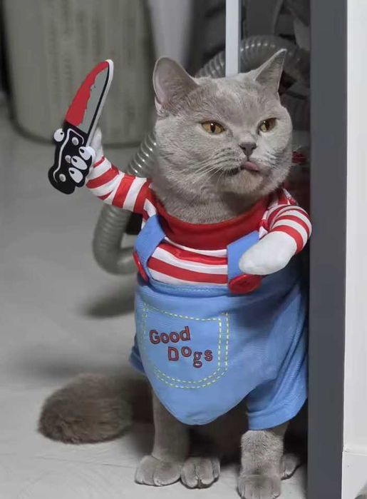 Disfarce Halloween para Cão/Gato – Fato Divertido M
