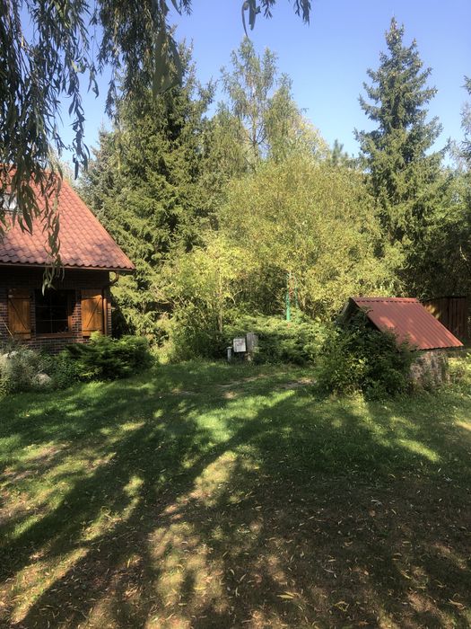 Siedlisko 4,5 ha z domem i zabudowaniami