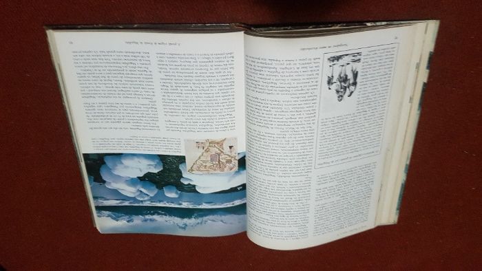 Os Grandes Exploradores de todos os tempos