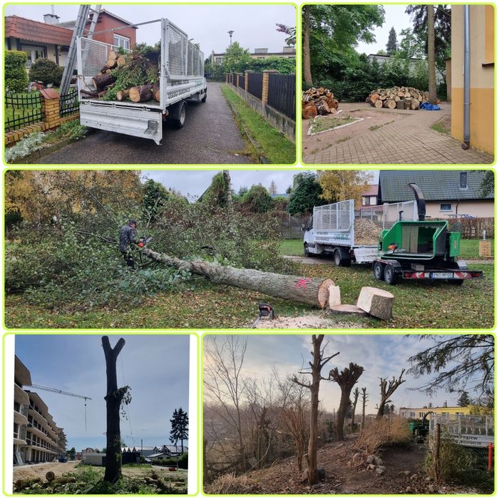 Wycinka drzew,  karczowanie działek, rębak, koszenie trawy, wywóz frezowanie pni, usługi mini ładowarka  podnośnik koszowy