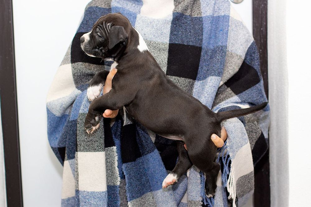 Брат та сестра клубних АСТ