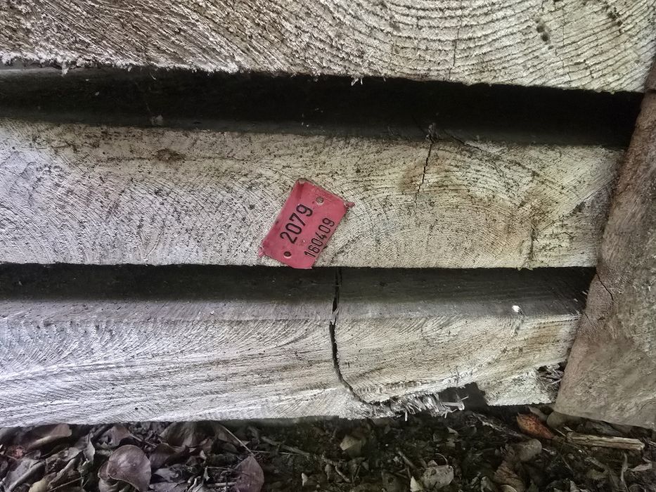 Deski suche Drewno ,Foszty Dąb,Buk, iglak