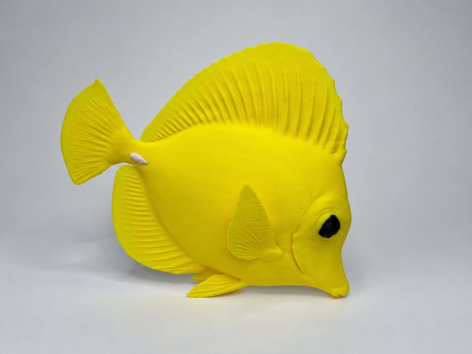 Modelo de peixe tang amarelo
