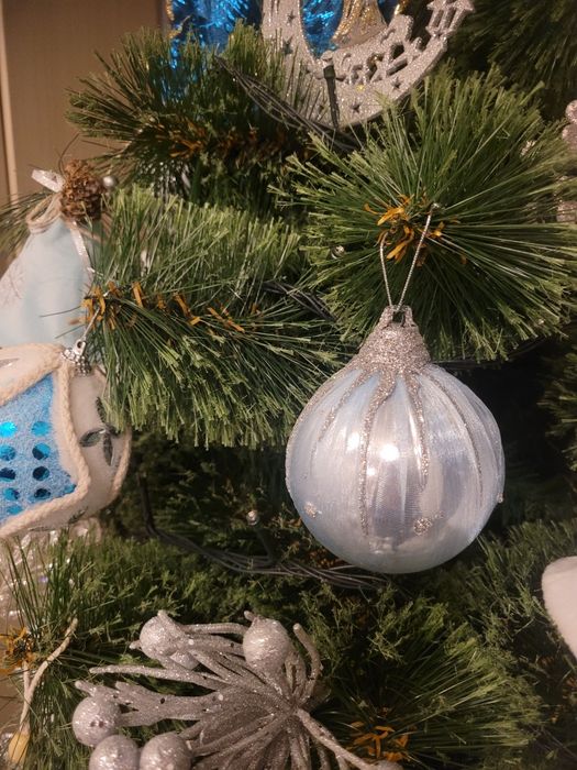 Продам сосну 2 метри висота