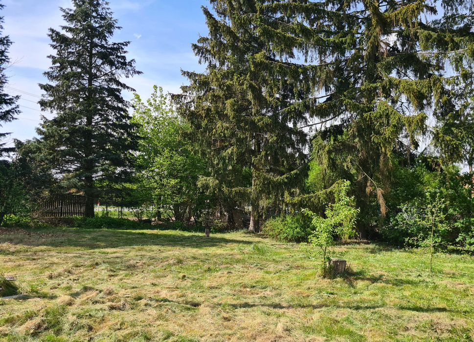 Urokliwa działka budowlana z WZ | Bukowiec, gm. Brójce (1284 m²) - Widok 2