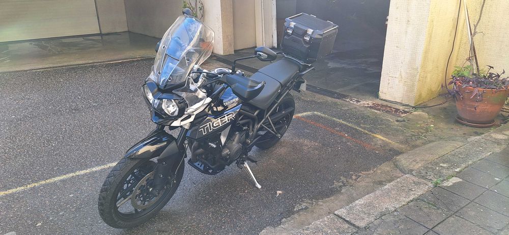 Triumph Tiger 800 XRX Low como nova com apenas 3.900 kms - Pneus novos
