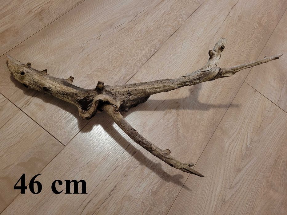naturalny duży korzeń do akwarium terrarium dł. 40 cm