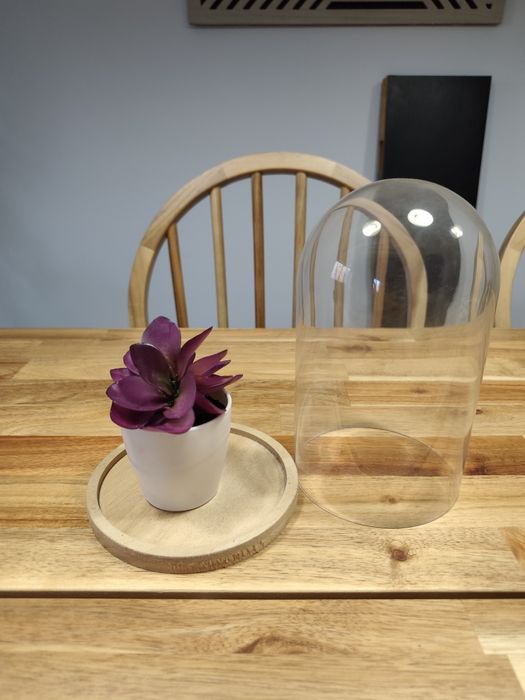 Planta decorativa com campânula