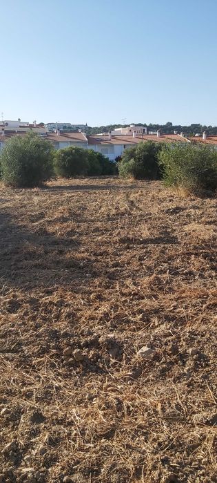 Oportunidade para passatempo de Agricultura no centro de S. Brás