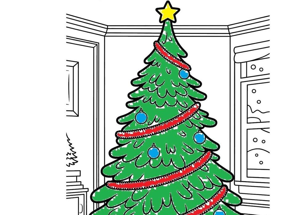 Świerk Choinki Bożonarodzeniowe wycinamy wybrane drzewko 1 km od miast