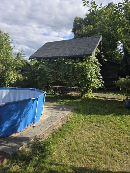Ogródek działkowy działka  Rod Promień Ruda Śląska Orzegów cena do negocjacji - Widok 3