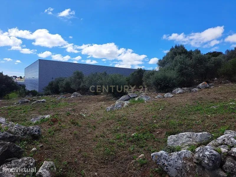 Industrial Plot for Sale in Manique